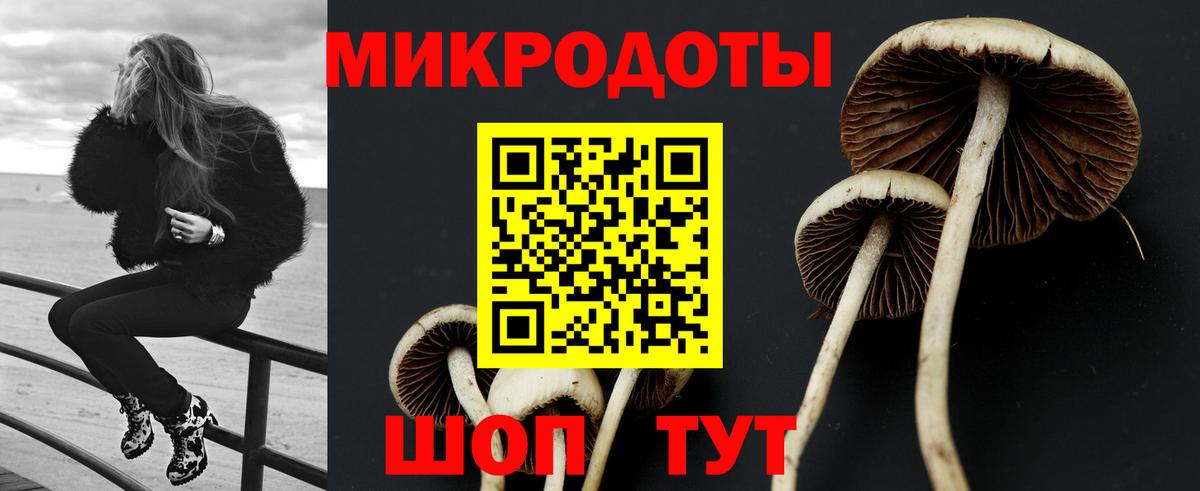 Урус-Мартан  Галлюциногенные грибы Magic Shrooms  Вход с VPN 
