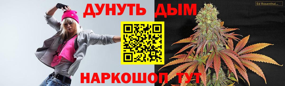 Бошки Шишки сатива Урус-Мартан